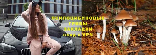 мяу мяу мука Баксан