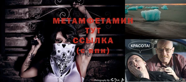 мяу мяу мука Баксан